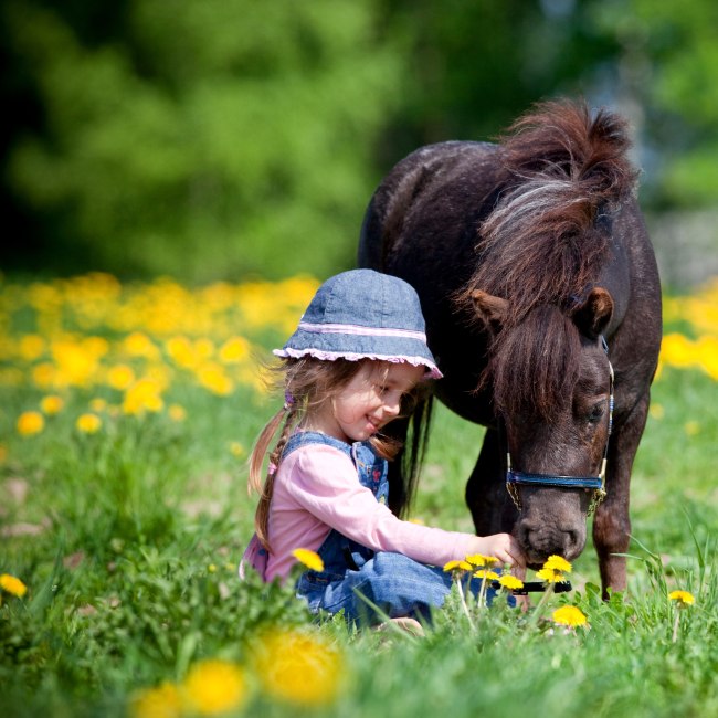 A girl is sitting on the grass and feeding a pony, © Fotolia/ Alexia Khruscheva