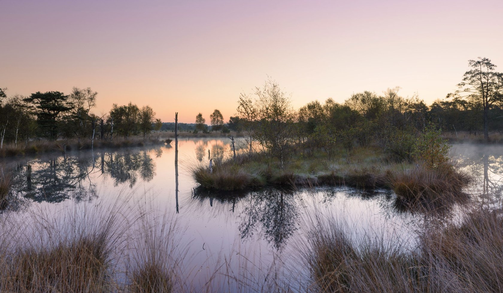 Pietzmoor near Schneverdingen in the Lüneburg Heath in the morning light, © Bildagentur Huber/Andreas Keil