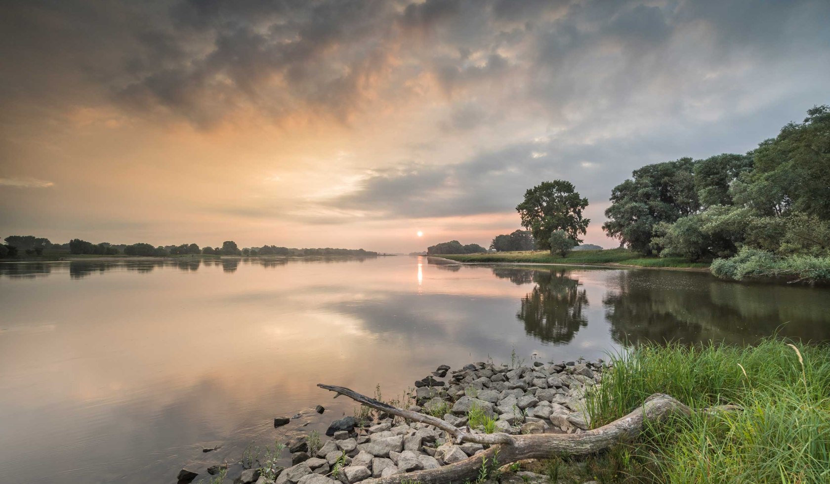 Morning mood Elbe near Gorleben, © TMN / Dieter Damschen