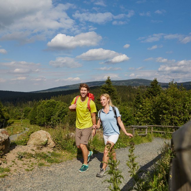 Hikers around Torfhaus in the Harz Mountains, © Harzer Tourismusverband/ M. Gloger