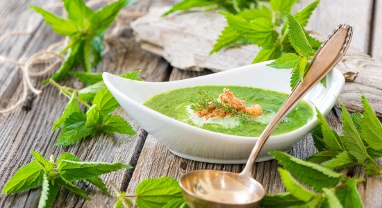 Nettle soup garnished with fresh nettles, © Fotolia