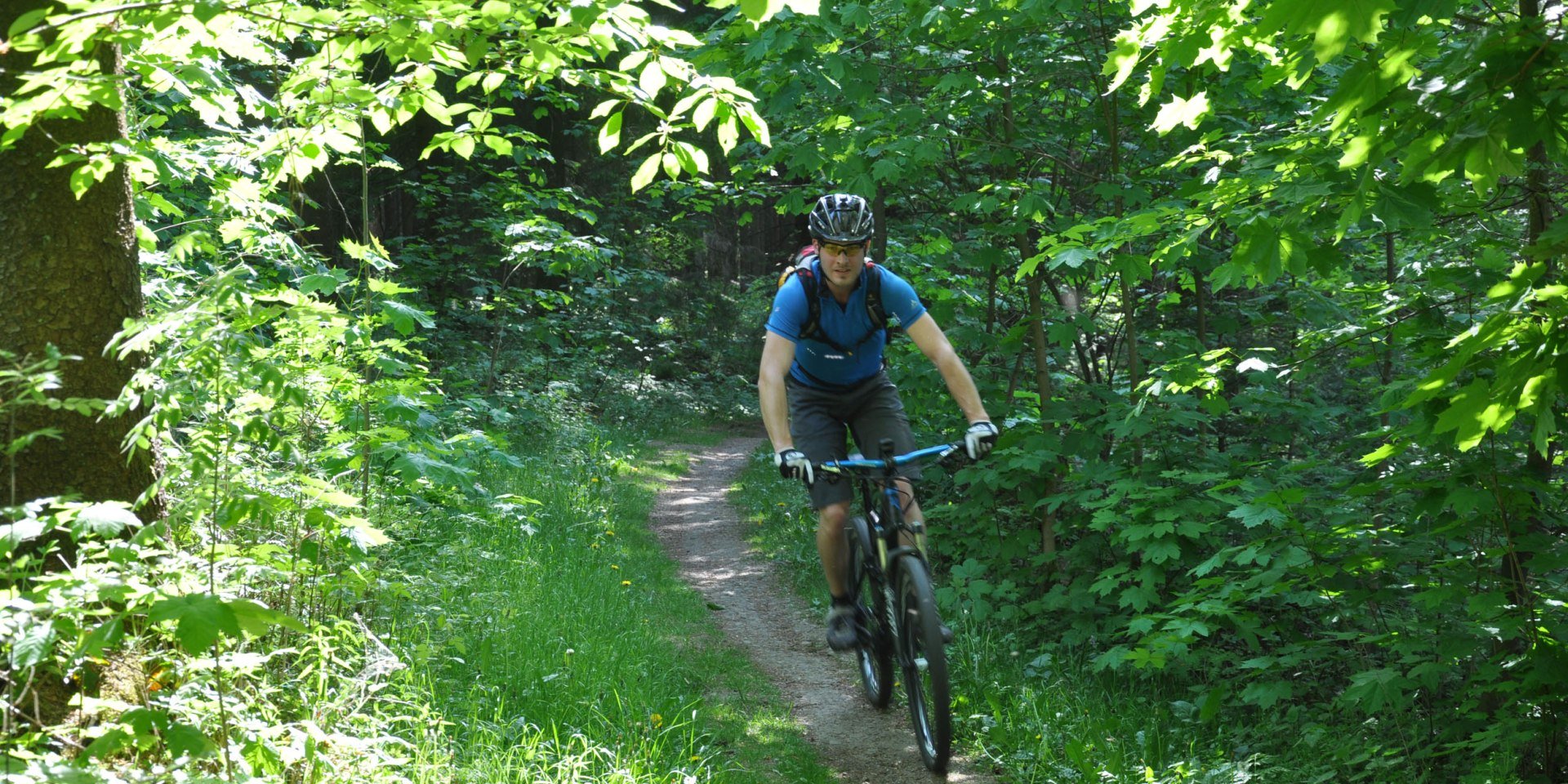 Mountain bikers in Solling-Vogler on the way, © Solling-Vogler-Region