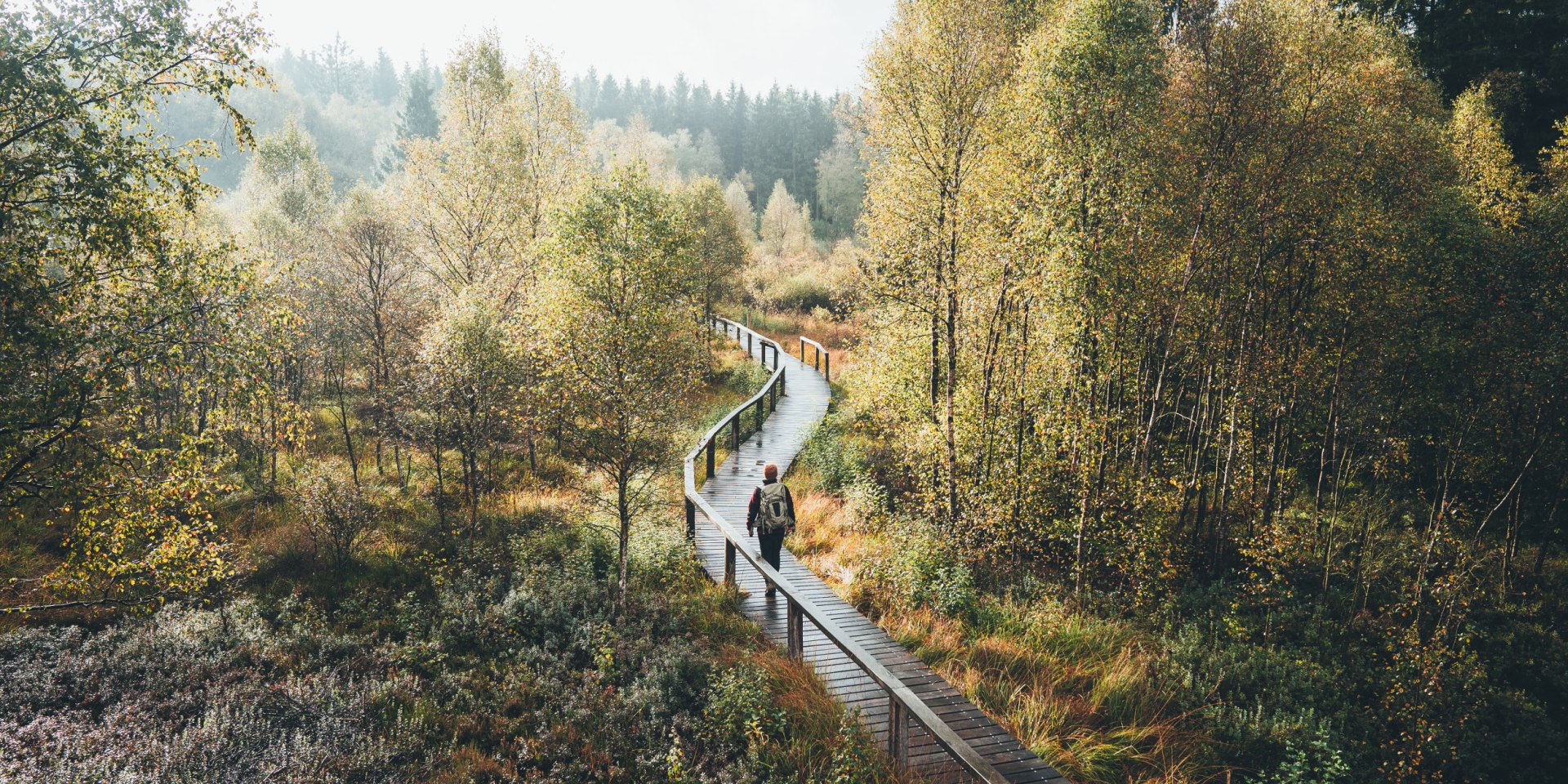 Hiker in the Solling Vogler Nature Park, © TourismusMarketing Niedersachsen GmbH / German Roamers / Johannes Becker