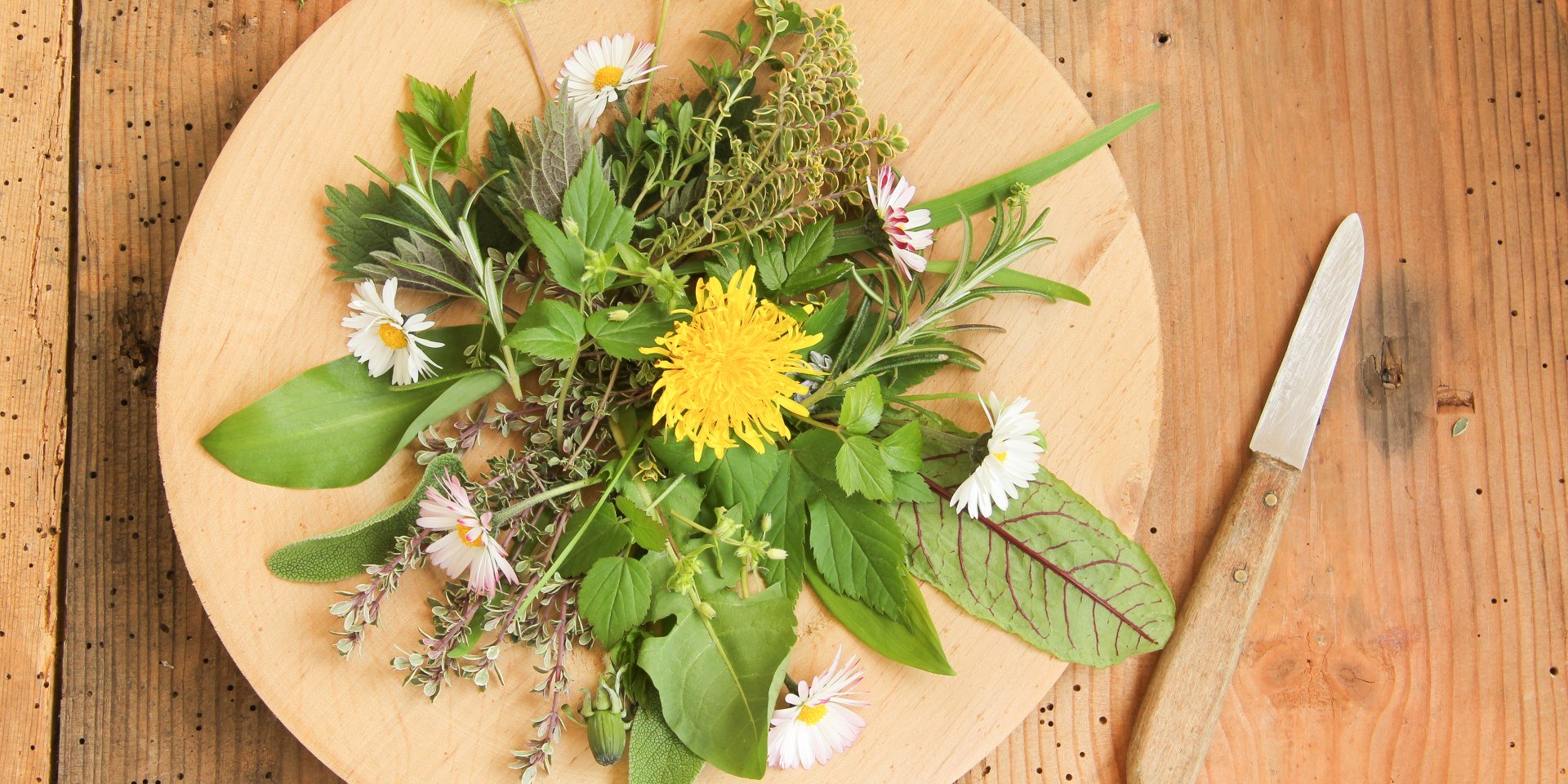 plate with herbs, © AdobeStock