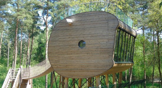 Tree Inn, © Tree Inn
