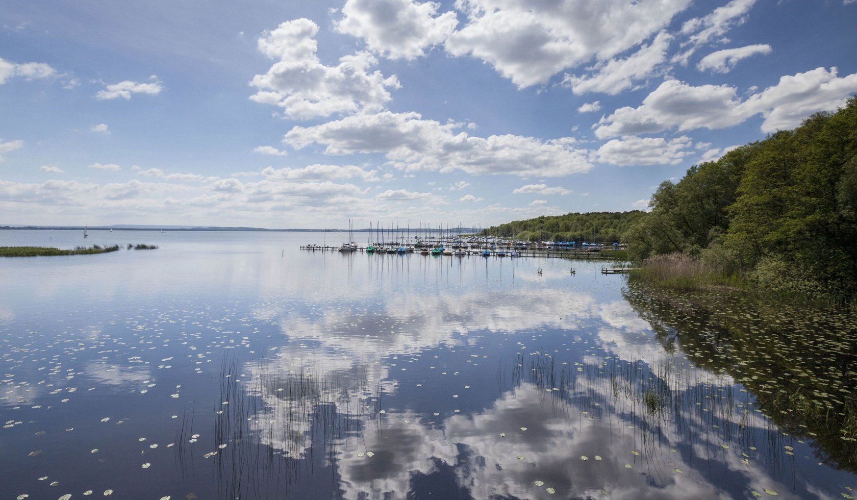 View of the Steinhuder Meer, on the right sailboats at the berth
, © Naturpark Steinhuder Meer, Region Hannover/ Claus Kirsch