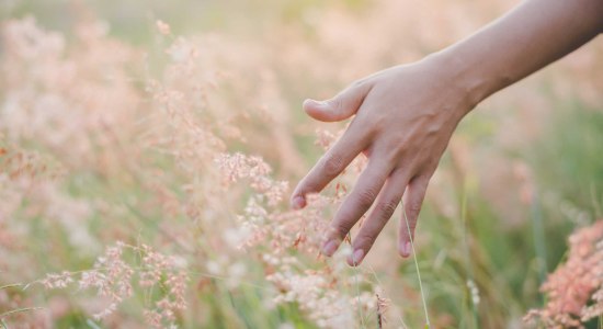 Hand touches grass in the field, © Fotolia.com /jcomp