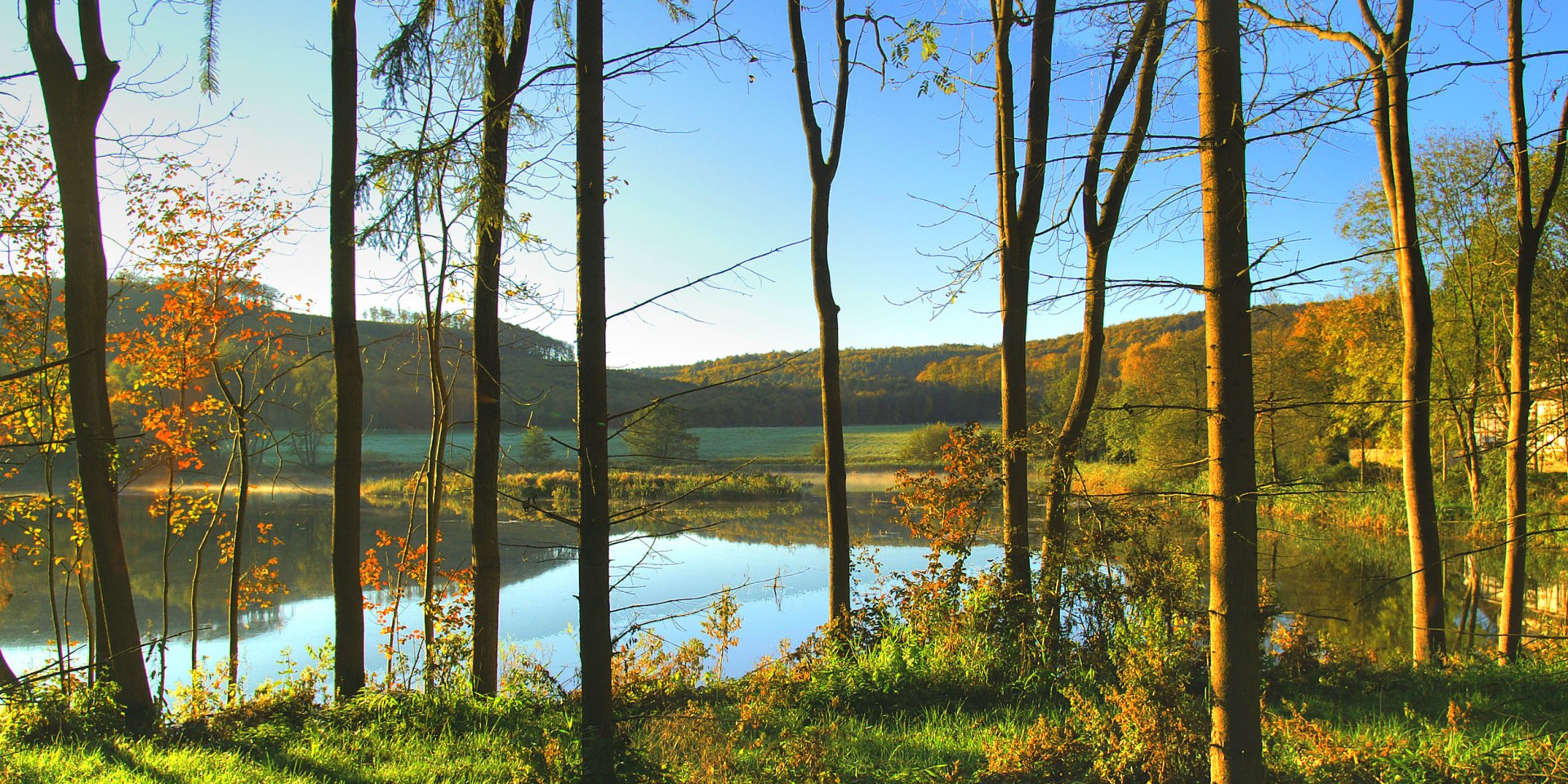 Autumn mood in Reitlingstal, © Naturpark Elm-Lappwald/ Ulrich Scheithauer