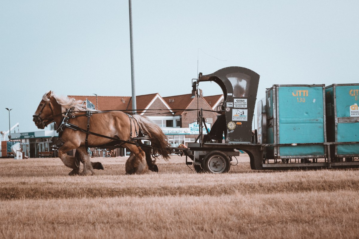 Horses pull train on Juist Island, © Ibrahim Rifath / unsplash