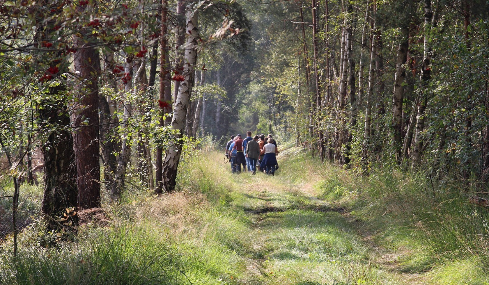 Nature Park Steinhuder Meer, © Naturpark Steinhuder Meer, Region Hannover / Doreen Juffa