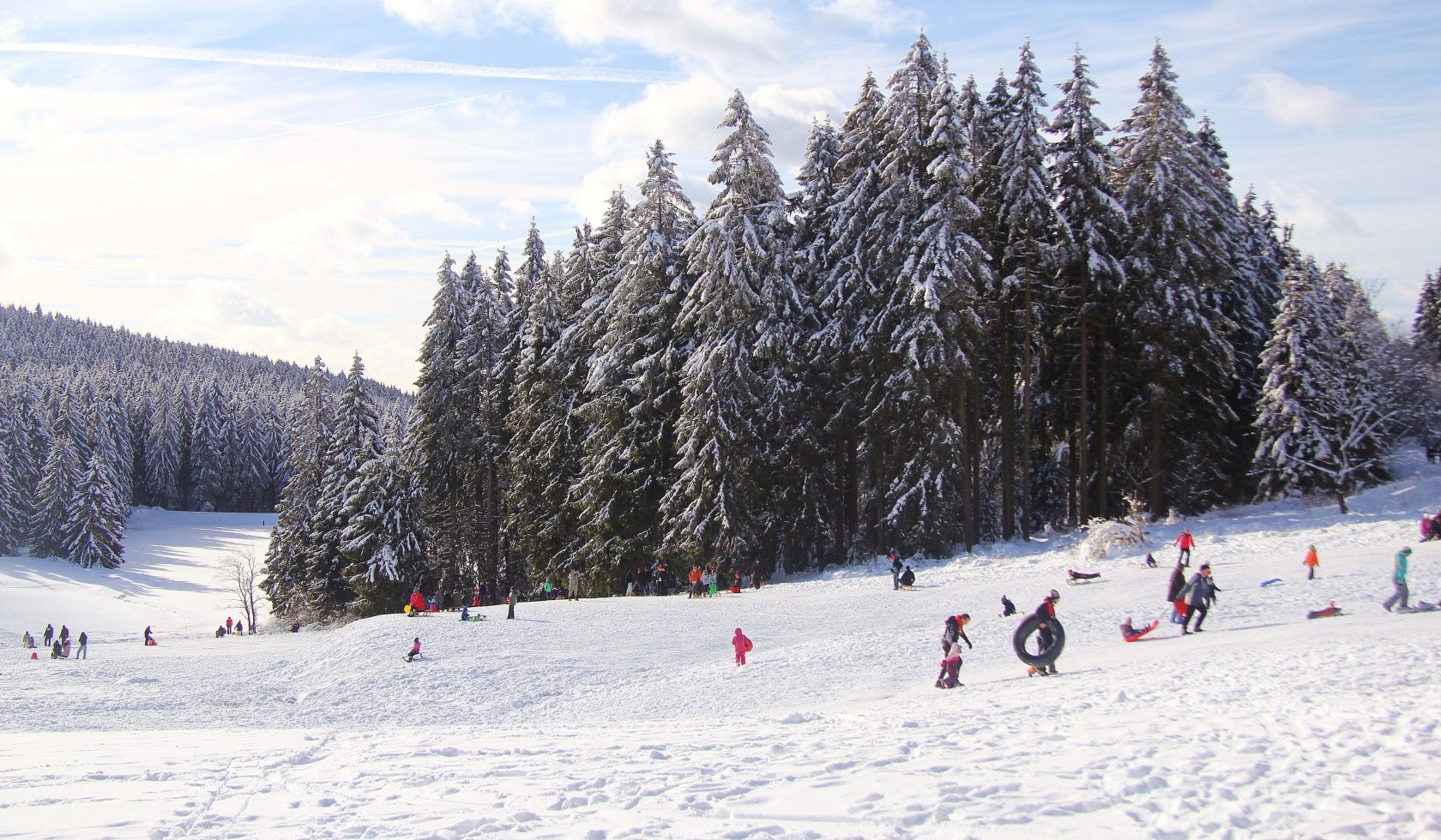 Toboggan group at the Bocksberg, © Erlebnisbocksberg Hahnenklee