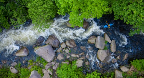 Harz Mountains, © TMN/Michael Neumann 