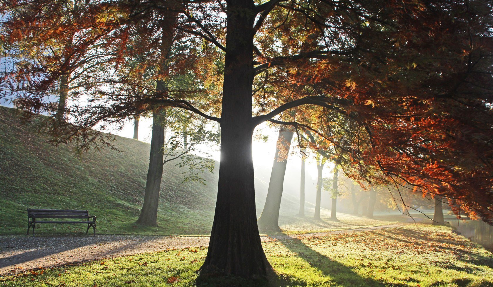 Herbst in Celle am Schloss, © Celle Tourismus und Marketing GmbH/ K. Behre