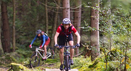Mountain bikers on a single trail, © Maruba b.V. Sports Publishers