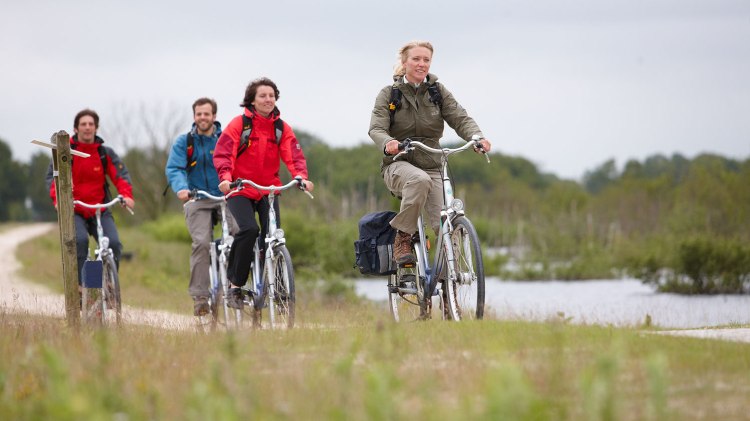 Cyclists, © Emsland Touristik / Marcus Gloger