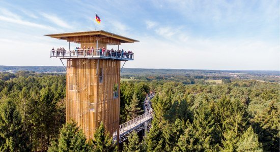 Lookout tower of the tree-top walk, © Weitblick Tietz GmbH & Co. KG / Adrian Föhl