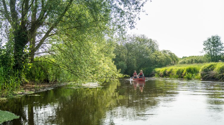 Couple is canoeing on the Ilmenau river in the Lüneburger Heide, © Lüneburger Heide GmbH / Dominik Ketz