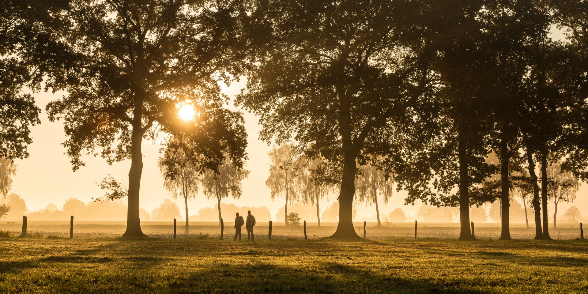 Hiker in the sunset in an avenue at Haußelberg, © Lüneburger Heider GmbH/ Dominik Ketz