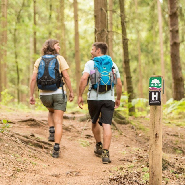 Hiker on forest stage of the Heidschnuckenweg, © Lüneburger Heide GmbH / Dominik Ketz