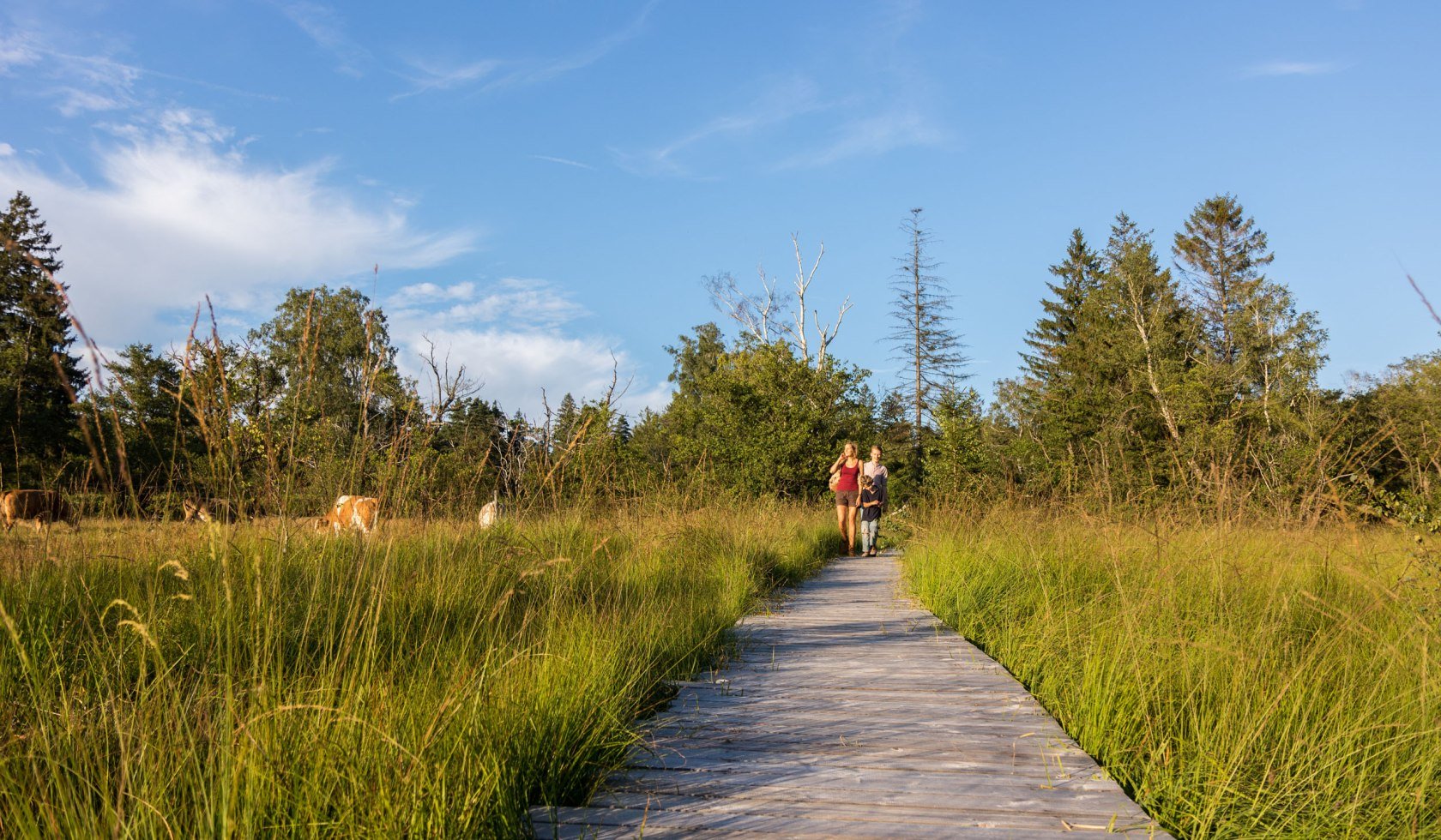 Walking in the Münden Natur Park, © Naturpark Münden / Peter Heitmann