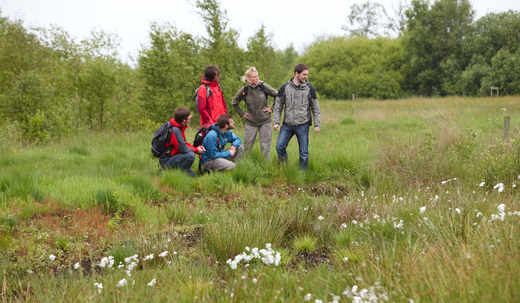 Five hikers at a waterhole in the moor of the Moor-Veenland Nature Park, © Emsland Touristik