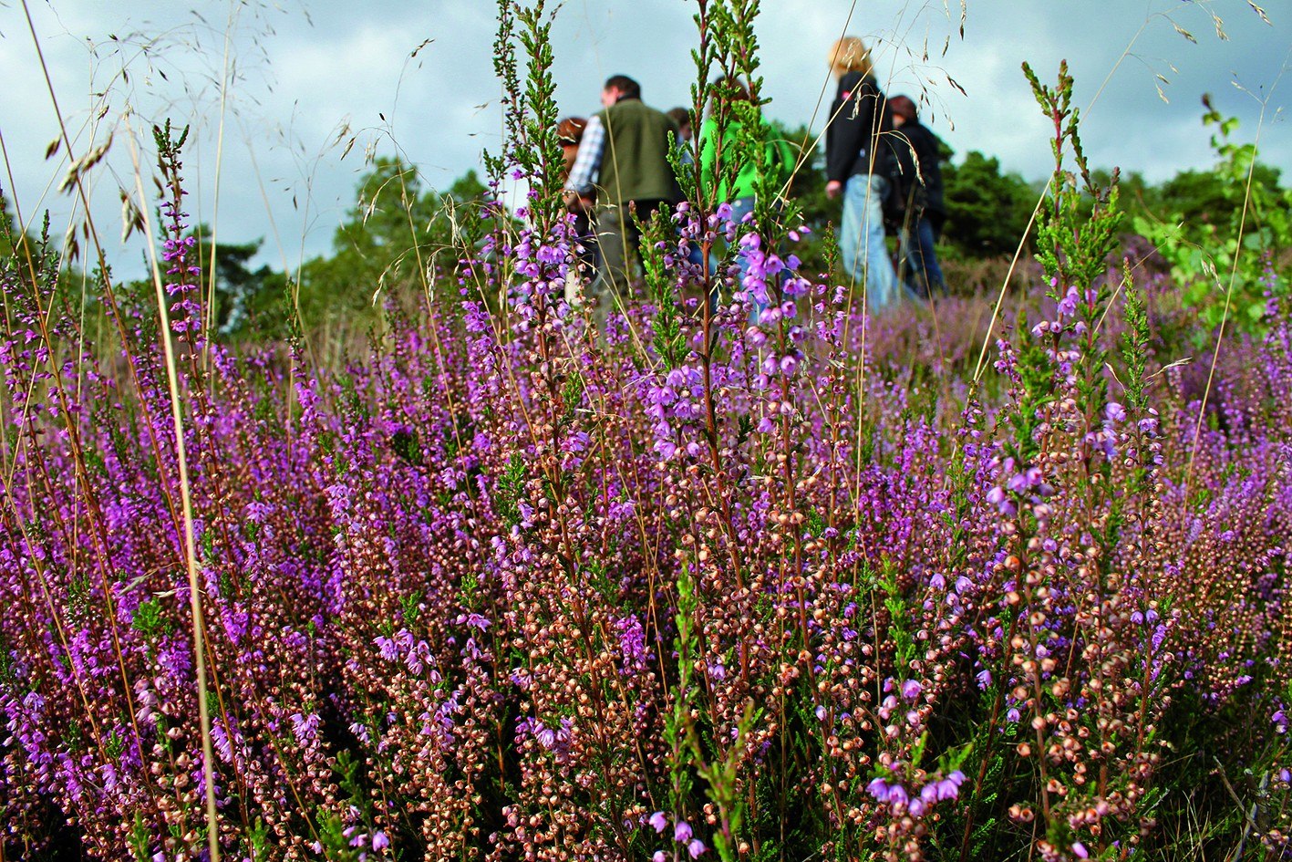 Bramscher Gehn, © Natur- und Geopark TERRA.vita