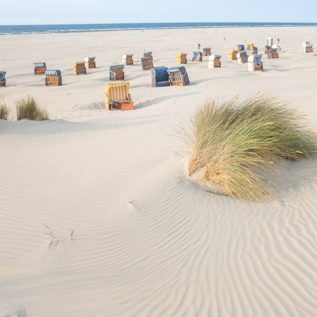 Beach at Juist, © TMN / Dietmar Scherf