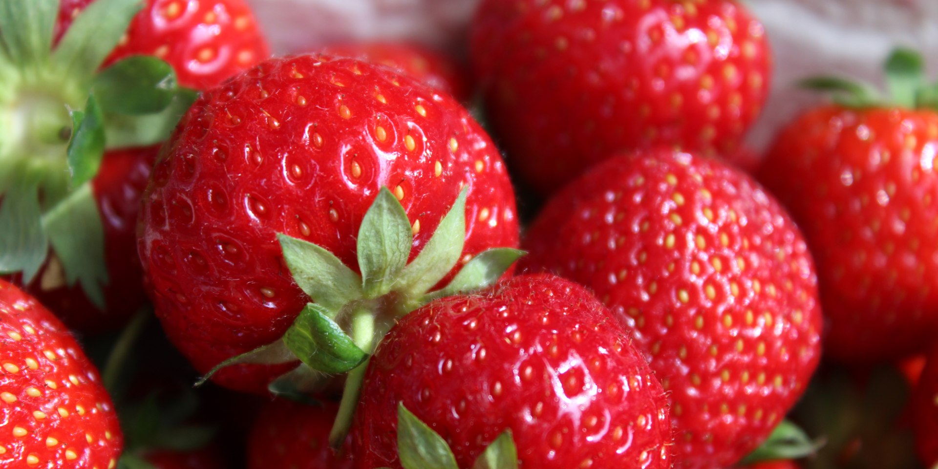 Strawberries, © Mittelweser-Touristik GmbH