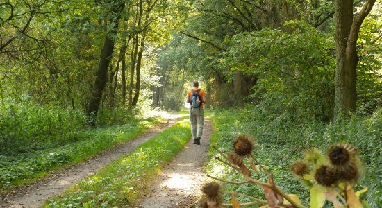 Wanderer auf dem Nordpfad, © touristikverband Landkreis Rotenburg (Wümme)