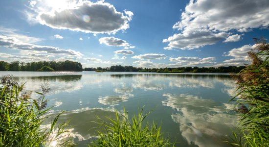 Meissendorf_Meissendorfer_Teiche_Sonnenschein_ccbysa_Dominik_Ketz_20220822_3 (1), © Lüneburger Heide GmbH/Dominik Ketz