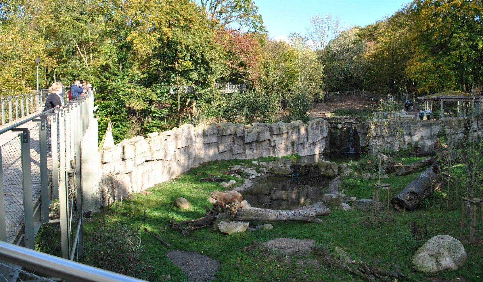 Hybride bears: Mix of polar and brown bears, © Zoo Osnabrück