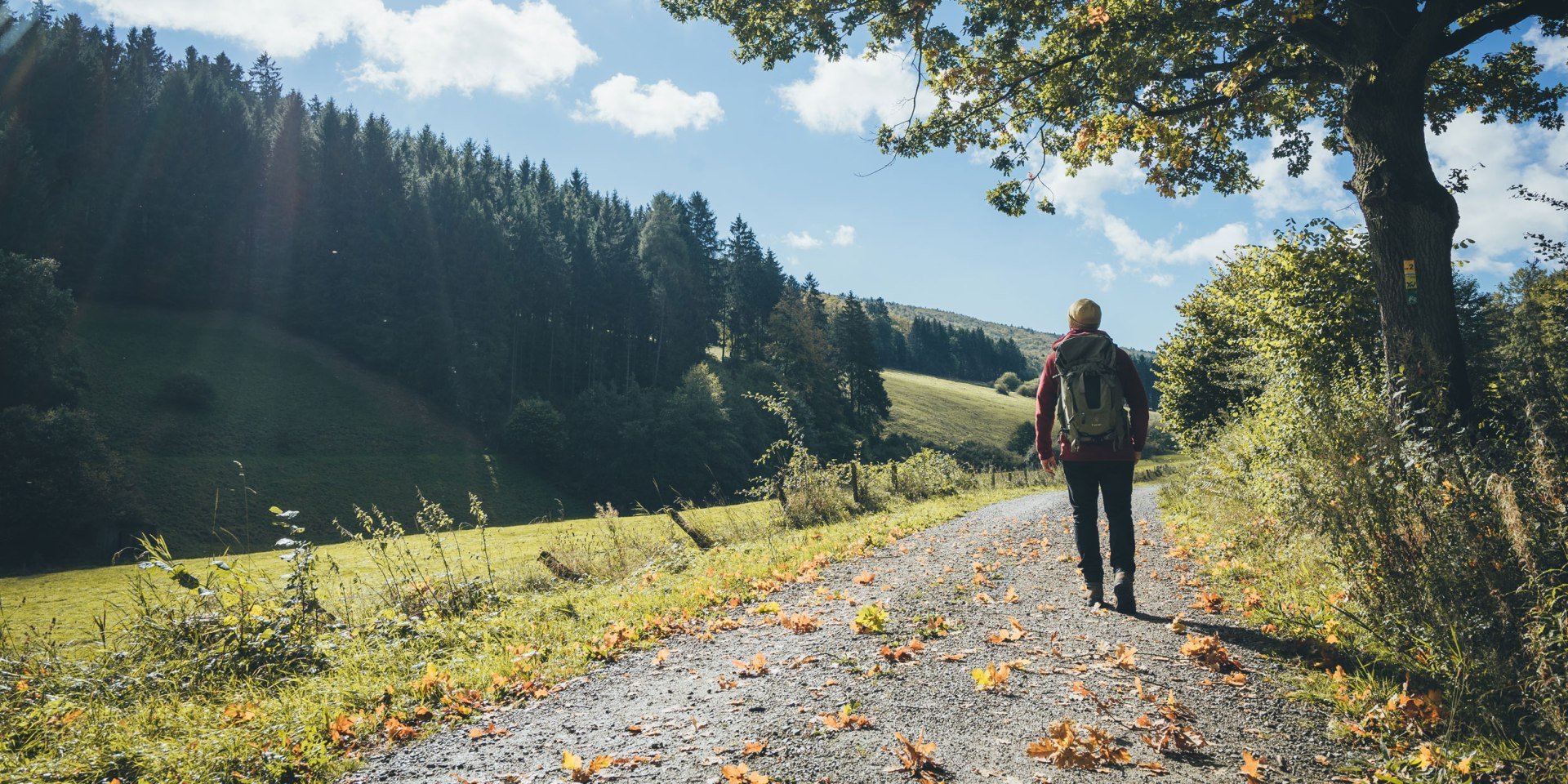 Hiking in Hellental in the Nature Park Solling-Vogler, © TourismusMarketing Niedersachsen GmbH/ Hannes Becker