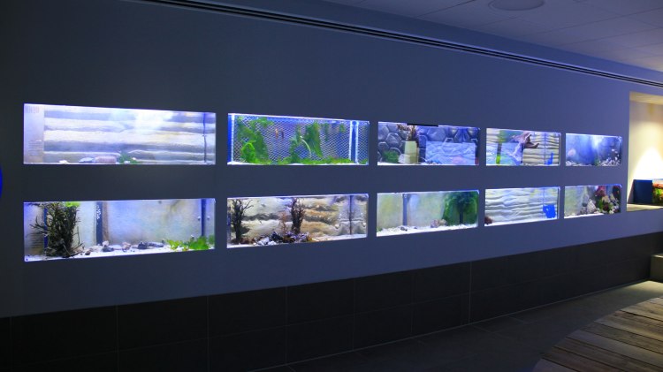 North Sea Aquarium, © Wirtschaftsbetriebe Borkum