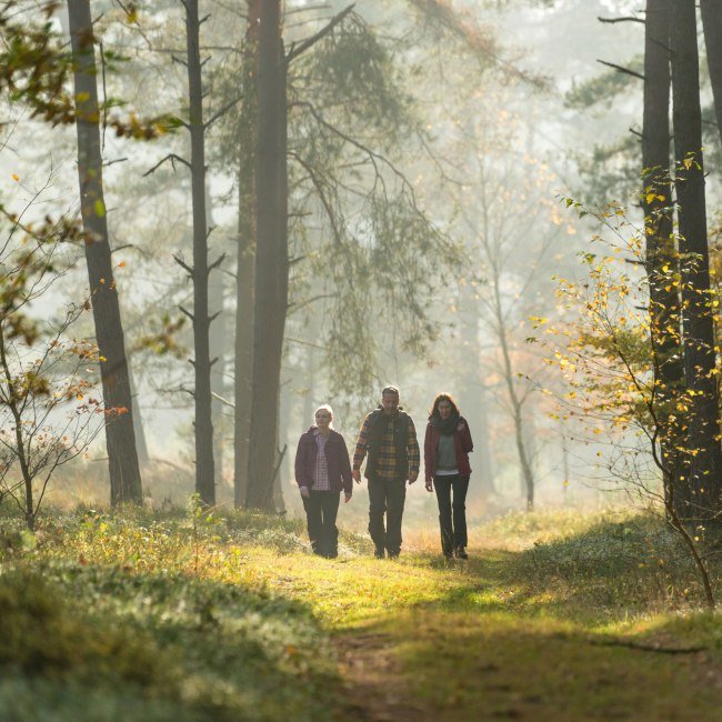 Autumn Hike in Tiefental EN, © Lüneburger Heide GmbH/ Dominik Ketz