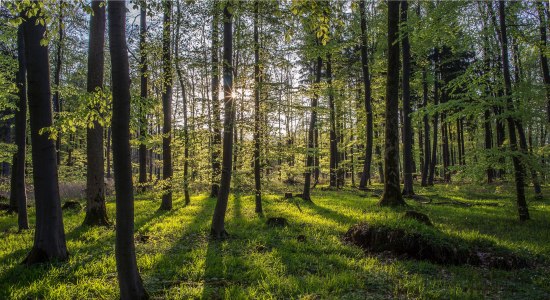 Im Naturpark Weserbergland, © Touristikzentrum Westliches Weserbergland / Kurt Gilde