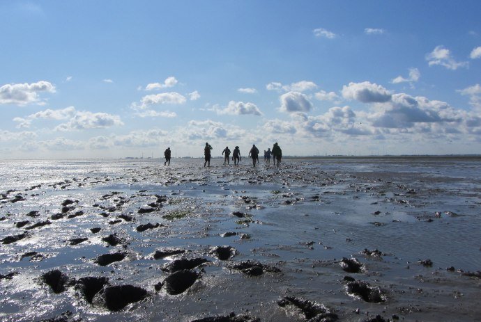 Wadden Sea, © Naturerlebnis Langeoog / Joke Pouliart
