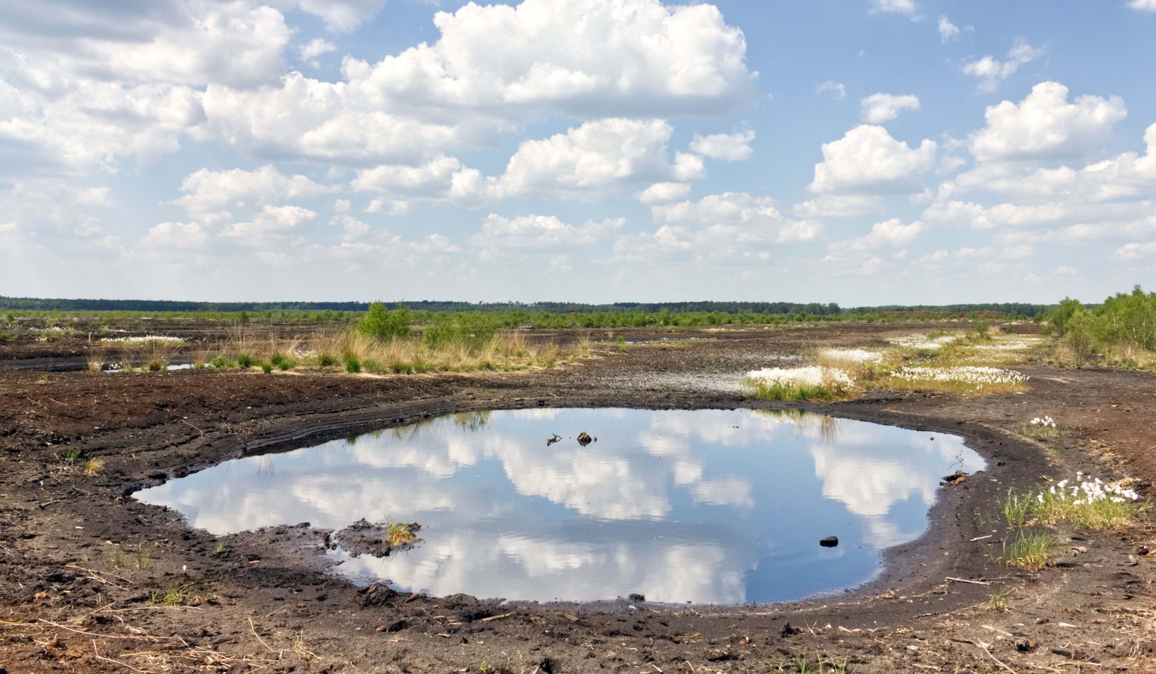 Moor landscape in the Steinhuder Meer Nature Park, © TMN / Lukas Holzmeier