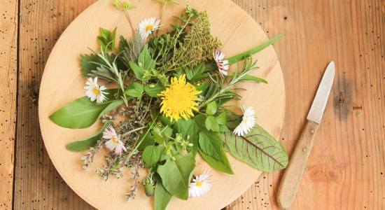 plate with herbs, © AdobeStock