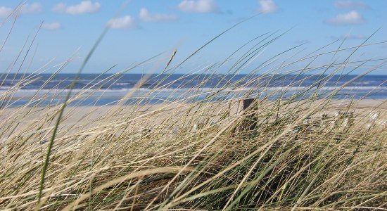 Spiekeroog, © Ostfriesland Tourismus GmbH / www.ostfriesland.de