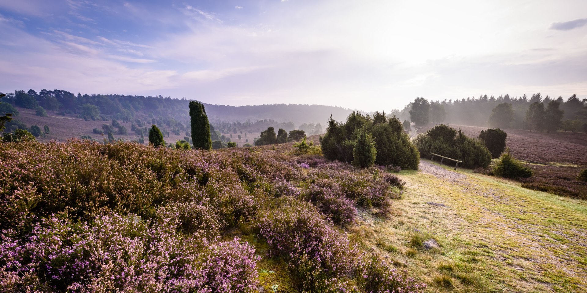 Totengrund in the morning, © Lüneburger Heide GmbH/ Markus Tiemann