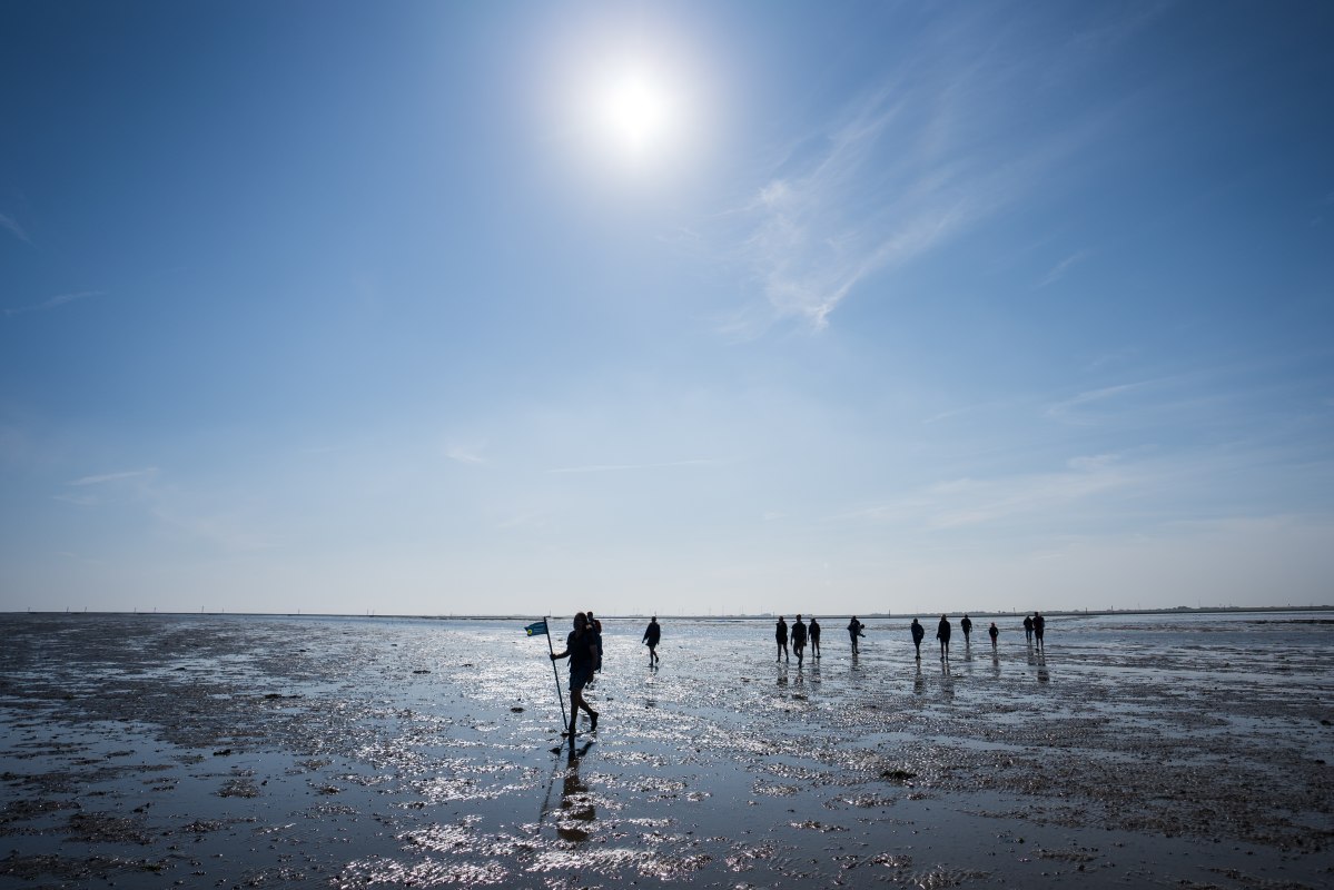 Guided tour of the mudflats near Harlesiel, © TourismusMarketing Niedersachsen GmbH