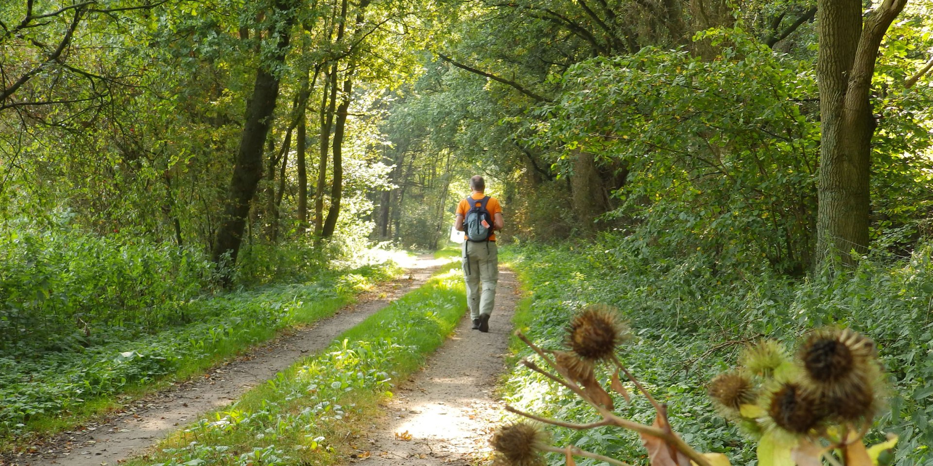 Wanderer auf dem Nordpfad, © touristikverband Landkreis Rotenburg (Wümme)