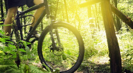 Front wheel of a mountain bike in the back light, © lassedesignen - Fotolia