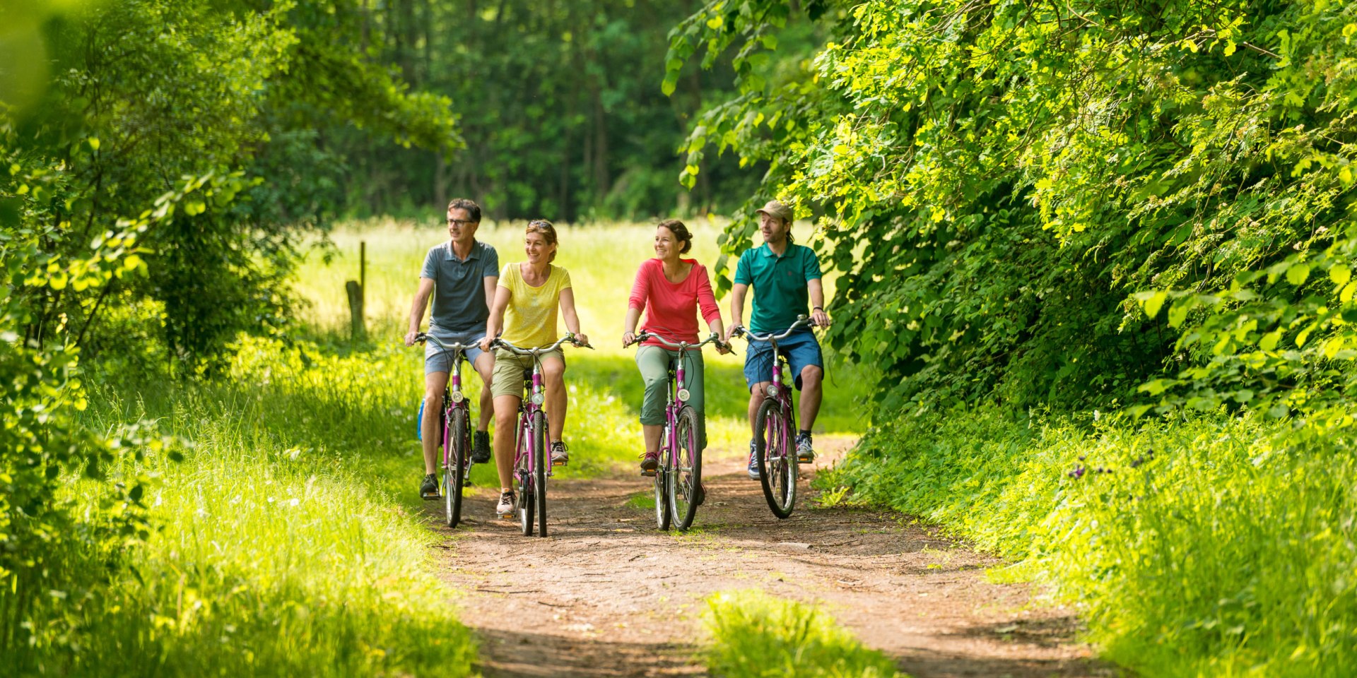 View of four cyclists in the Uelzen heathland region, © Lüneburger Heide GmbH/ Dominik Ketz