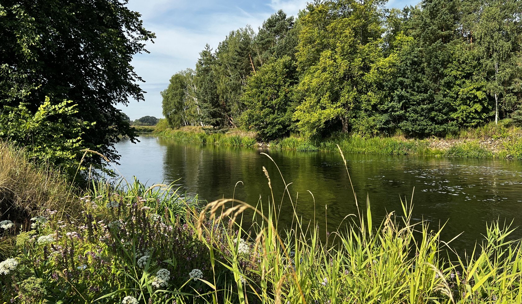 hornbostel_hutweide_aller_cbysa_eb_20220804_8, © Lüneburger Heide GmbH