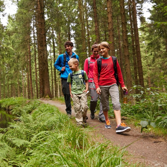 Hiking at the Upper Harz Regale Water Management System, © Harzer Tourismusverband/ Marcus Gloger