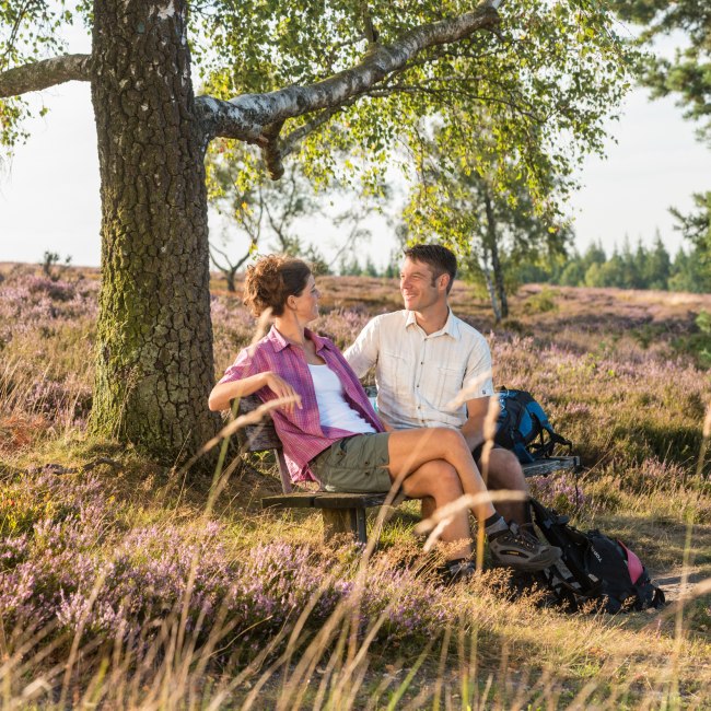 Hiking break at the Brunsberg, © Lüneburger Heide GmbH / Dominik Ketz