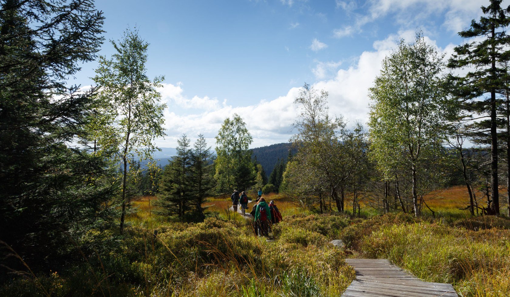 Discovery tour, © Nationalpark Harz / Foto Lindenberg