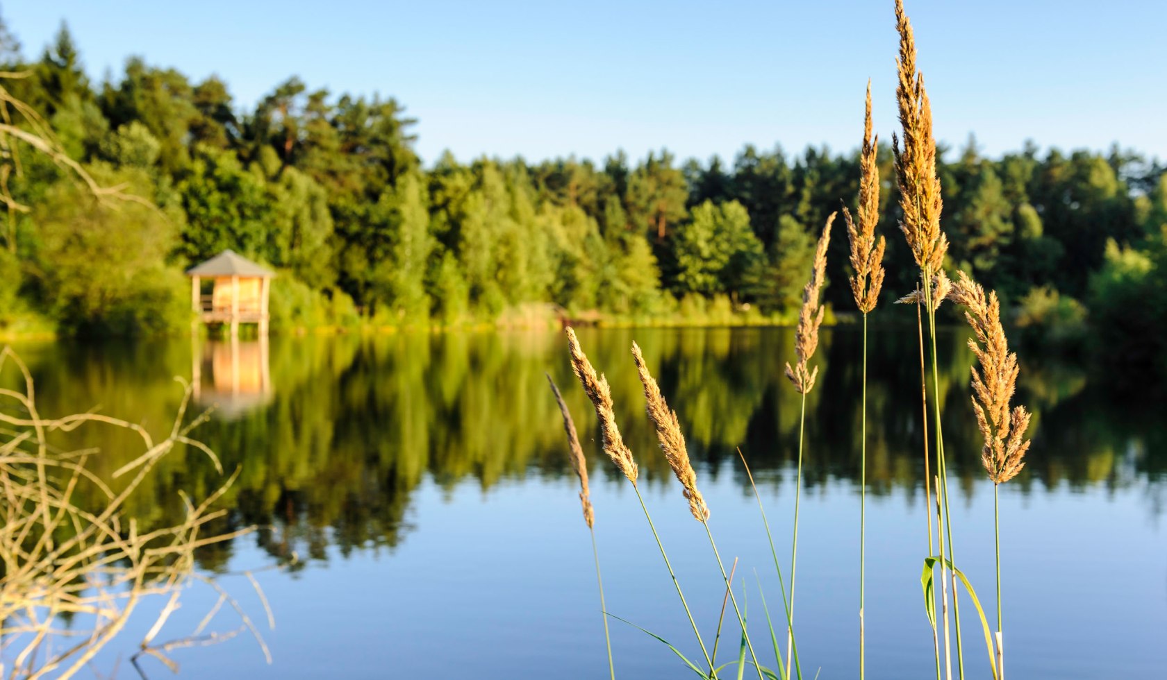 Angelbecks Pond, © Lüneburger Heide GmbH / Markus Tiemann