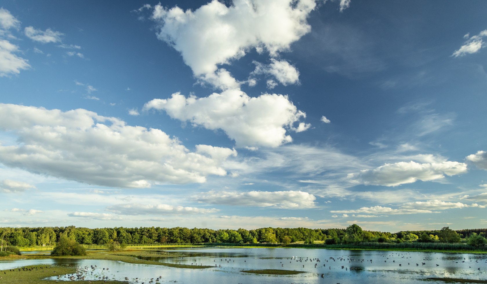 Meissendorf_Meissendorfer_Teiche_Vögel_rasten_ccbysa_Dominik_Ketz_20220822_21, © Lüneburger Heide GmbH/Dominik Ketz
